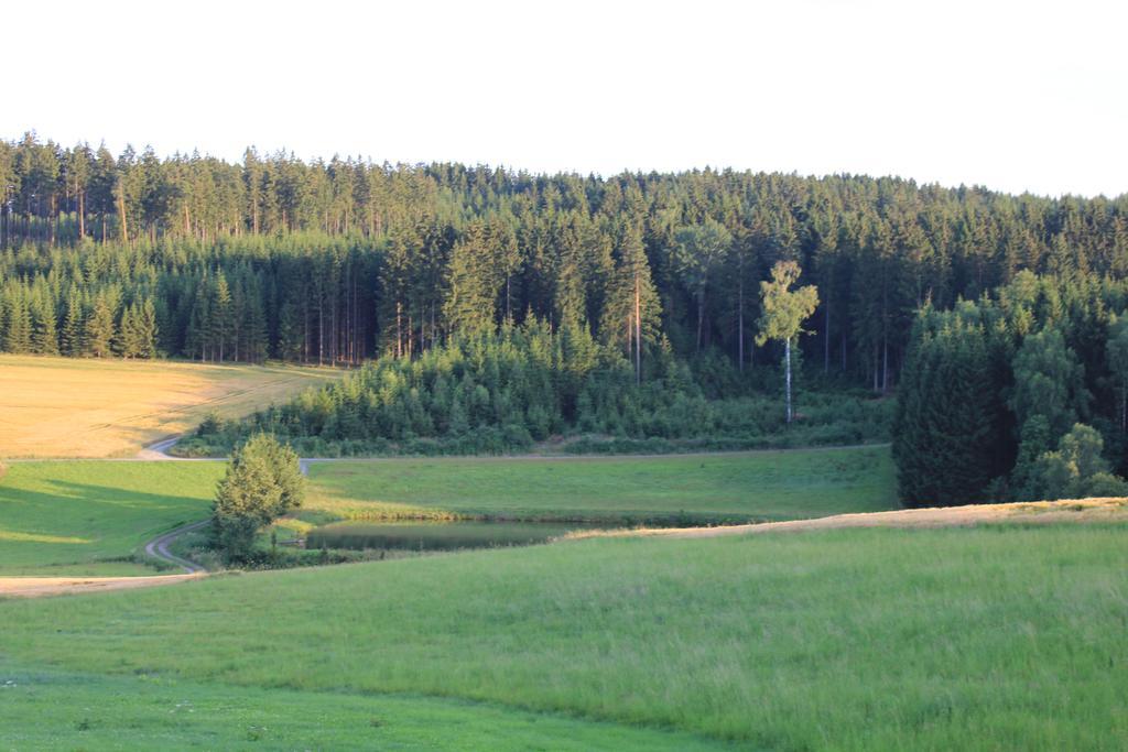 Landgasthof Haueis Marktleugast Екстериор снимка