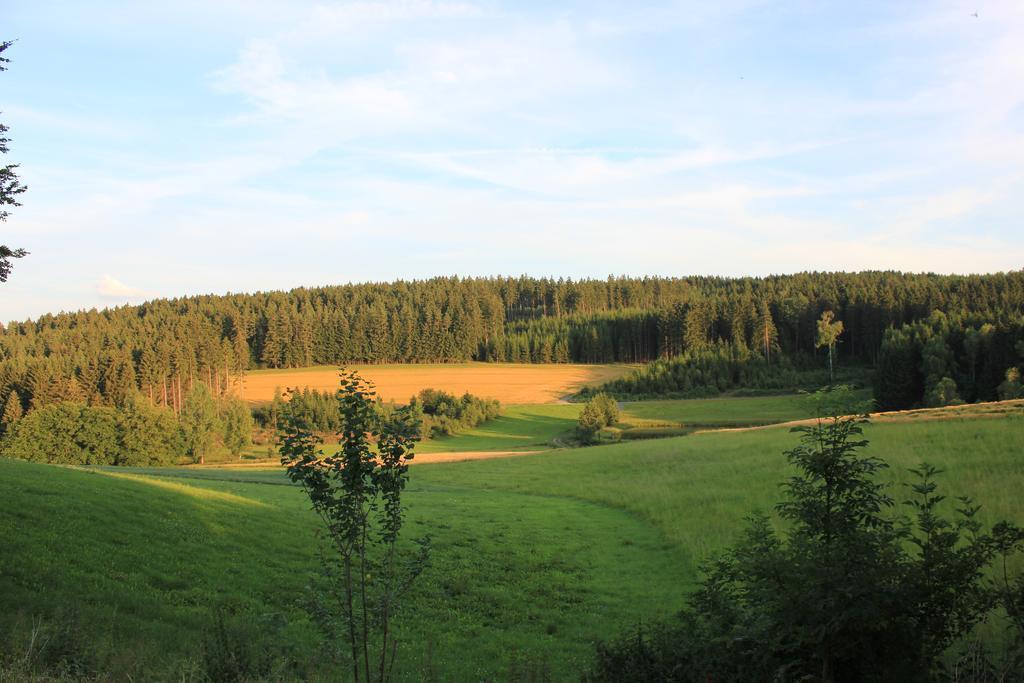 Landgasthof Haueis Marktleugast Екстериор снимка