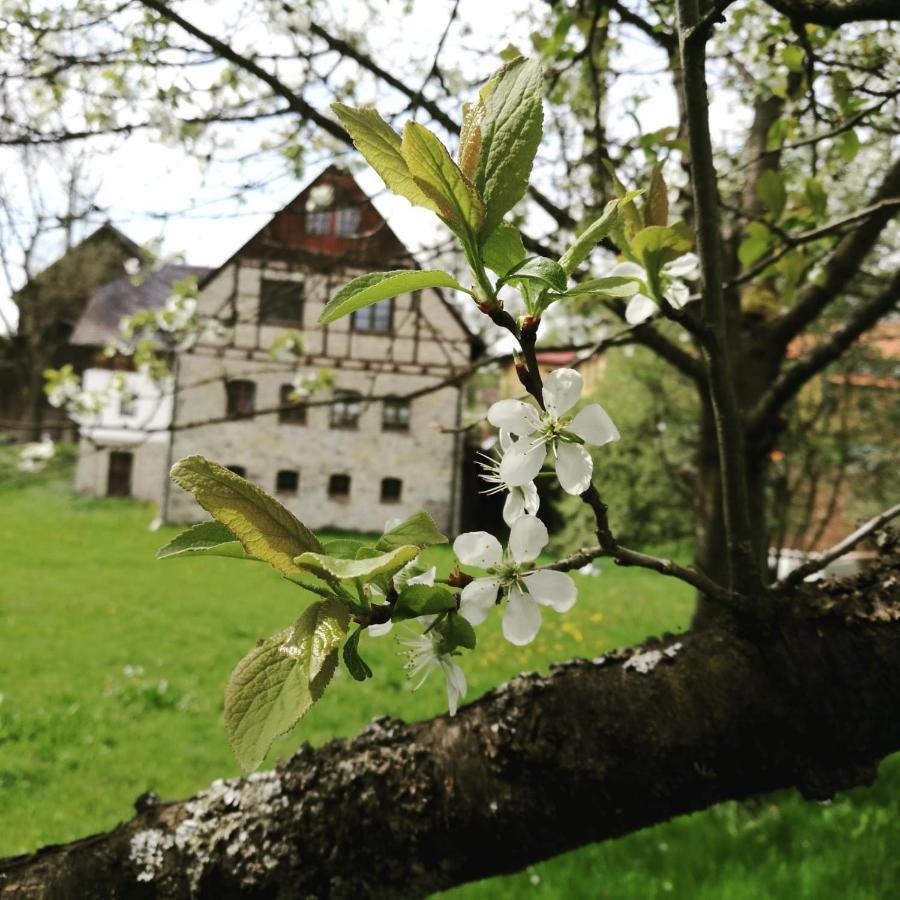 Landgasthof Haueis Marktleugast Екстериор снимка